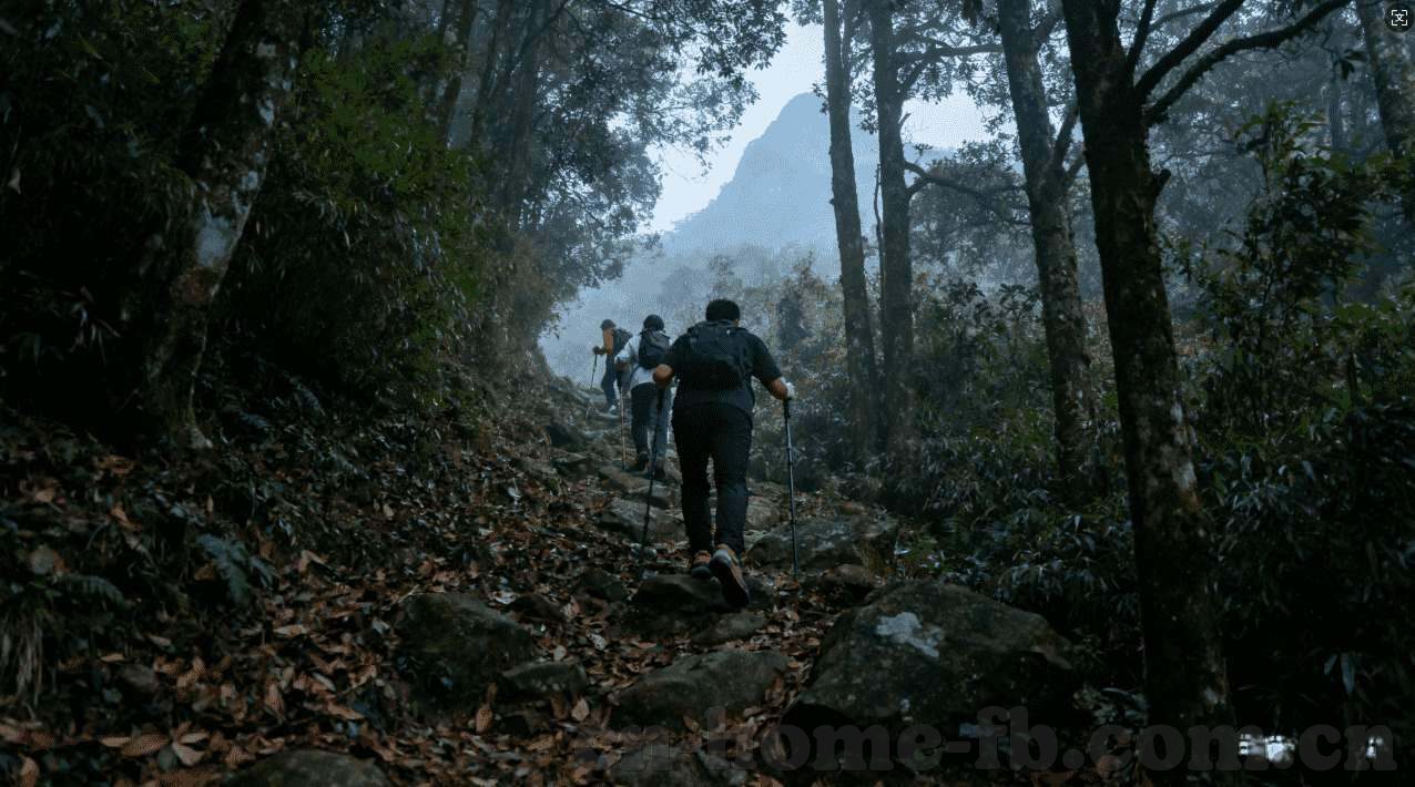 澳门 赌场 怎么玩-澳门赌场游玩指南，体验与规则解析